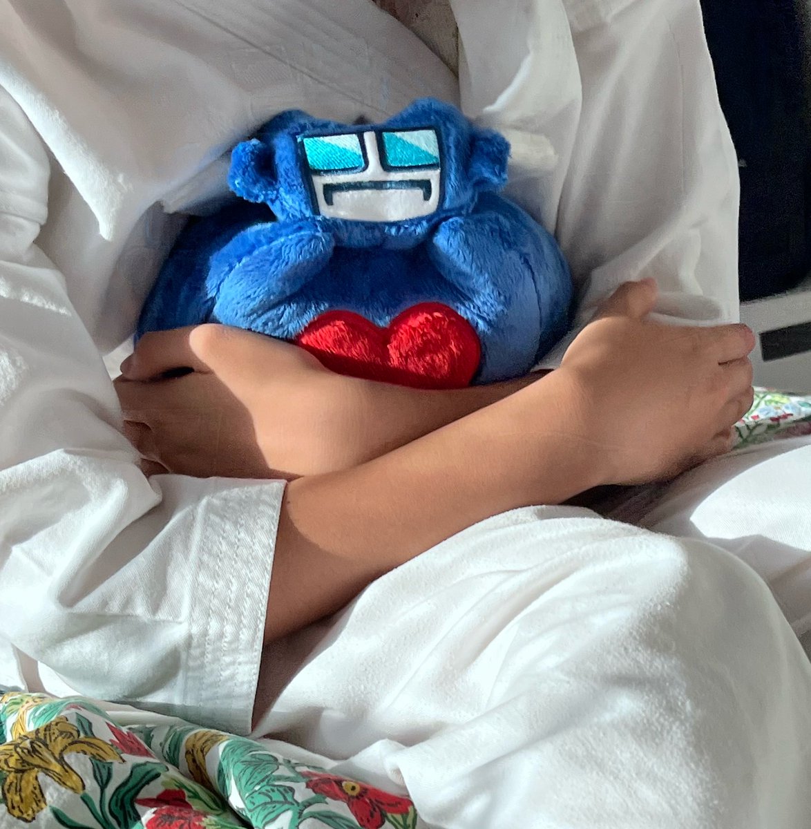 electrochairr's tweet photo. Magnus kitty is very loved https://t.co/pCwroaFN8Y