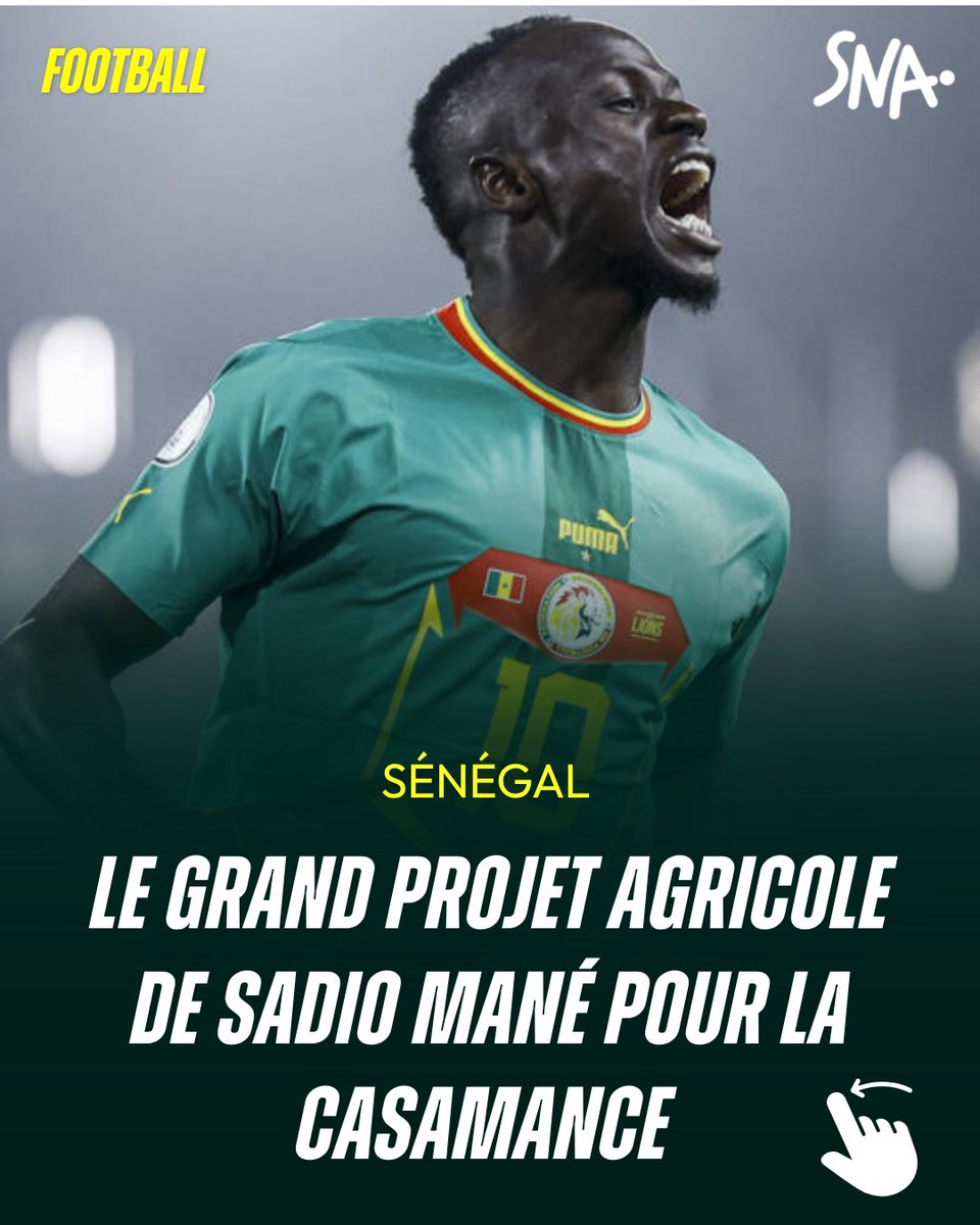 snewsafrica's tweet photo. 🇸🇳 Sadio Mané lance un grand projet agro-industriel en Casamance, une première au Sénégal. Baptisé Parc Agro Industriel de Bambaly et porté par sa marque SM10 Agro, il vise la production et la transformation de fruits.
•  Superficie : plus de 500 hectares, dans la zone de Boudhié Mar (à 5 km de Bambali).
•  Capacité : 50 000 tonnes par an.
•  Emplois : plus de 2 500 emplois directs pour les jeunes du Sud.
•  Impact : très important pour la région de Sédhiou et toute la Casamance, notamment pour lutter contre le chômage des jeunes.