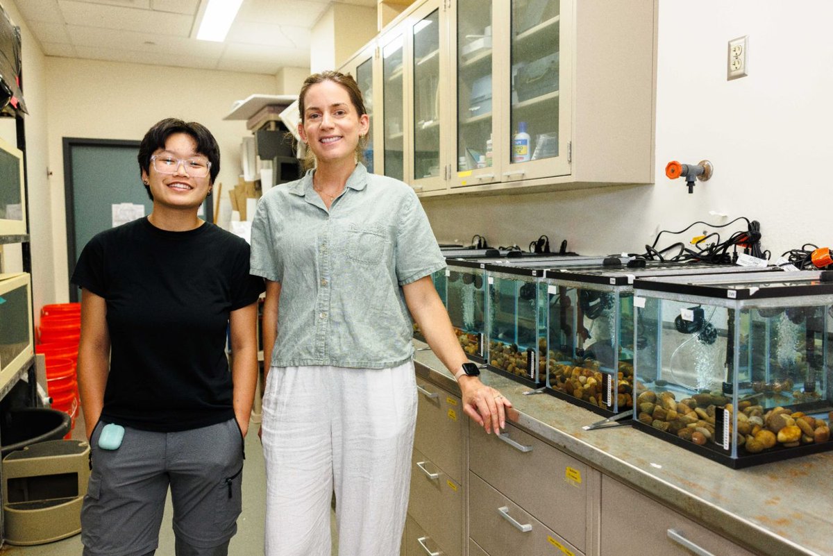 ISUResearch's tweet photo. From examining leafcutter ants in Costa Rica to investigating invasive species in Illinois, Jadyn Golz has found her passion for research @IllinoisStateU. The senior @ISUBio major received a FIREbird grant from the Office of Student Research to study eDNA detection methods for two invasive species that have caused major harm to native ecosystems. Working with #RedbirdScholar Dr. Kara Andres, Golz is learning how different conditions affect scientists' ability to detect these invaders before they spread. Learn more: https://t.co/IR60wXB9yd