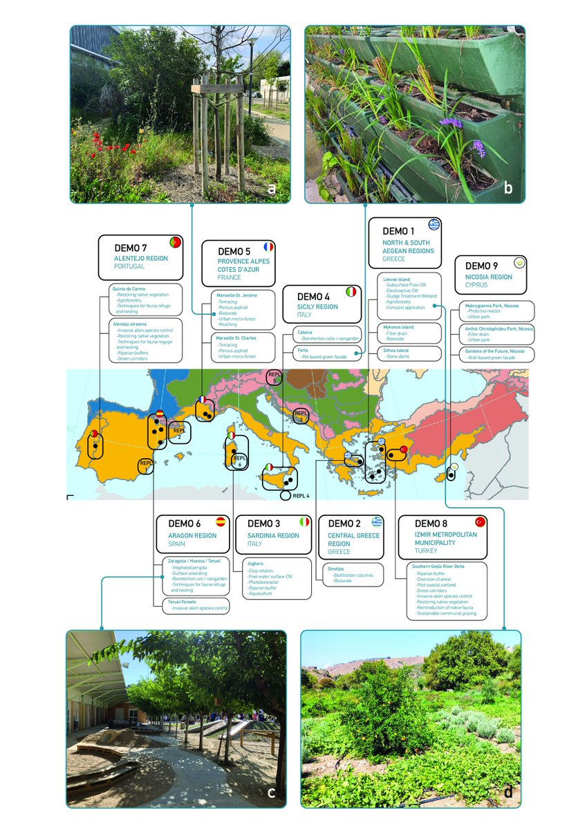 erichwolff's tweet photo. 🌳New paper on mainstreaming nature-based solutions🌴
In the wake of a devastating summer for Europe and for the Mediterranean region, how can we find ways to accelerate climate adaptation? 
https://t.co/XUPhgCaCye https://t.co/Ep2QJvAypb