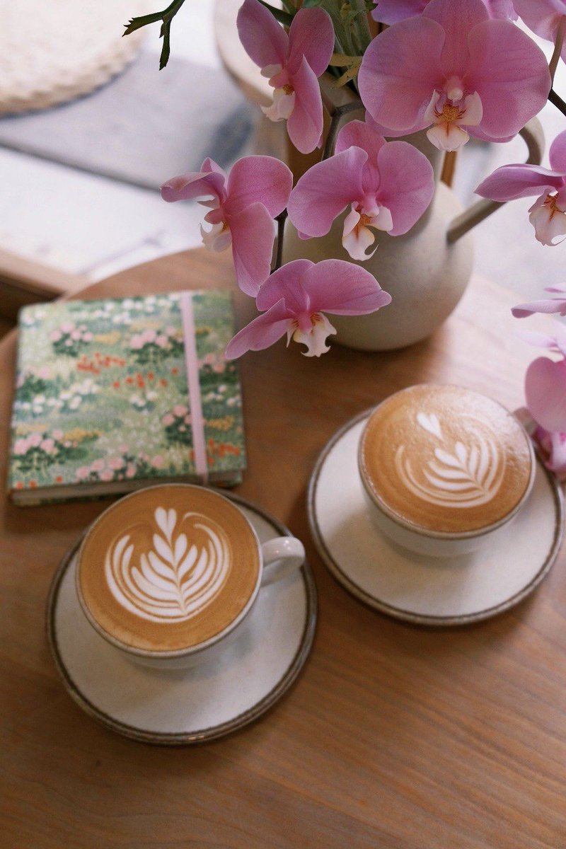PautalF's tweet photo. Sunshine and cherry blossoms—spring’s here!  Coffee break tastes way better with this fresh bloom glow. https://t.co/ye17UFuAz2