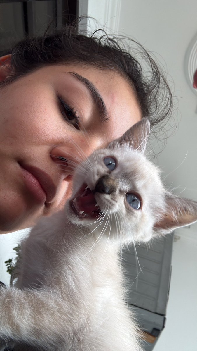 paolin1999's tweet photo. mi bb chiquito https://t.co/0Z9pClYVCD