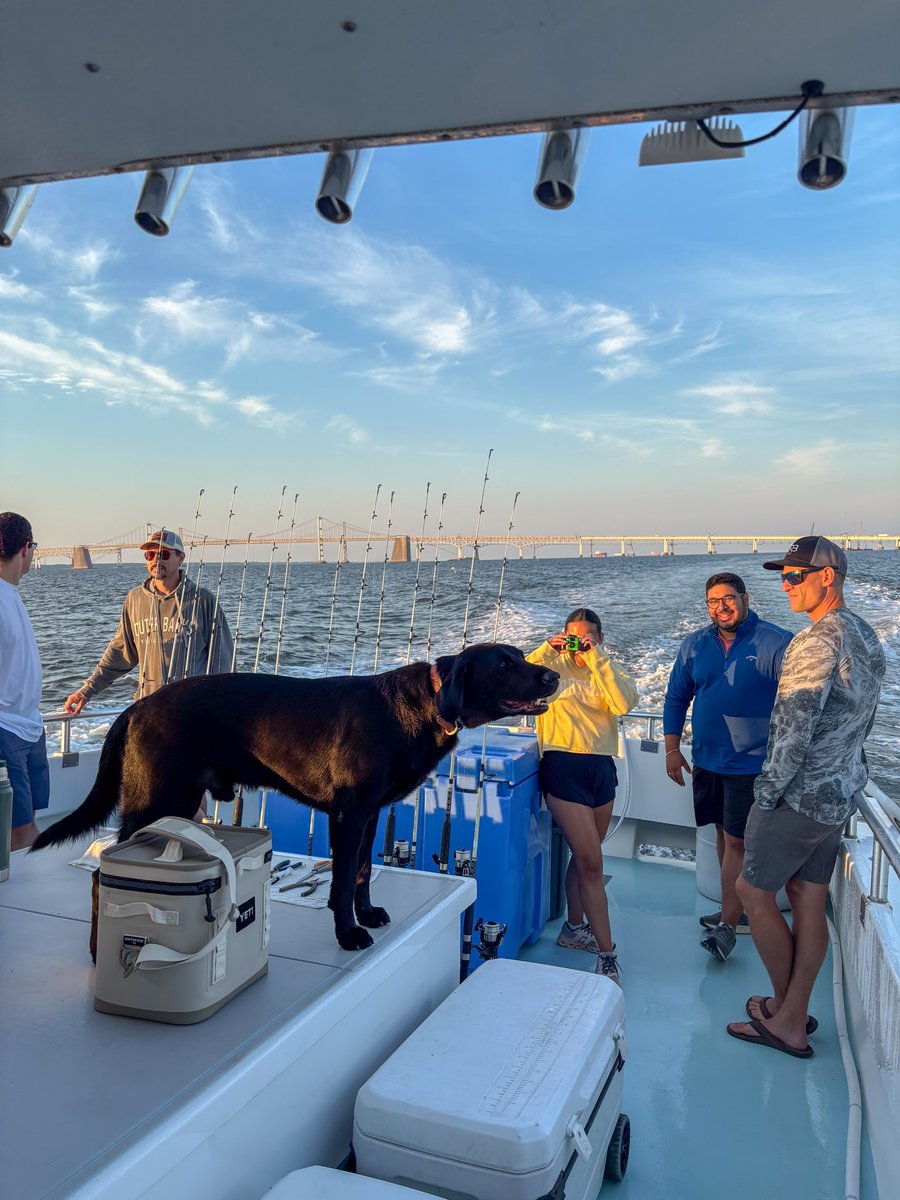 CBGBuildingCo's tweet photo. A crew from our Silver Spring office (and co-captain Josey 🐶) recently enjoyed a sunset team-building fishing trip out on the Chesapeake Bay! 🎣🌅
#CBGBuilds #CBGBuildingCompany #SilverSpringMD #TeamCBG #TeamBuilding https://t.co/yjelGv6Pyn