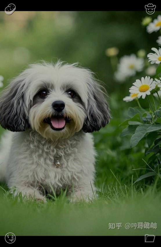 skbaseball07165's tweet photo. 🧫The parents' retreat center is where parents take a break. 959403. Purchasing food items: the loaf has been purchased. https://t.co/8Ibcnjlh9N