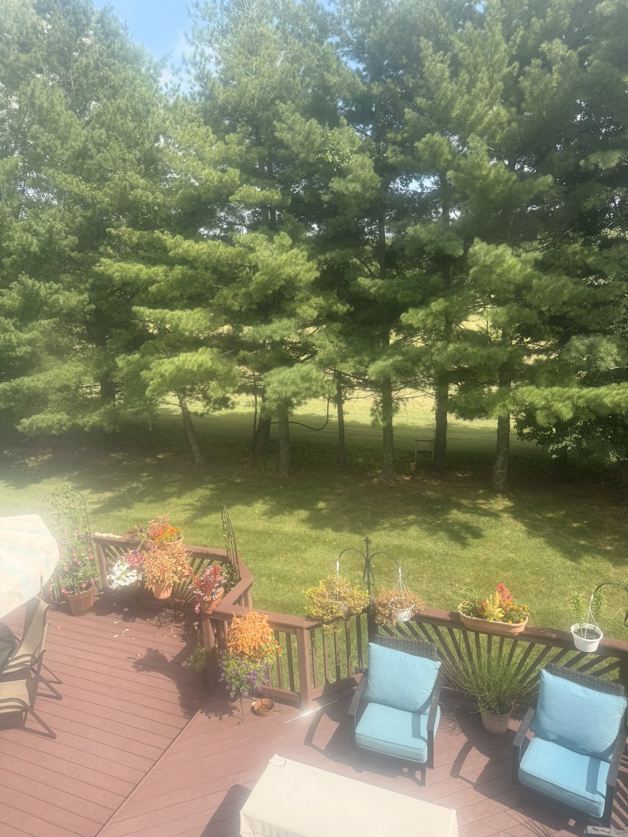 aravpatel_'s tweet photo. Time to quite literally,

touch grass :) https://t.co/Cioof5O5ka