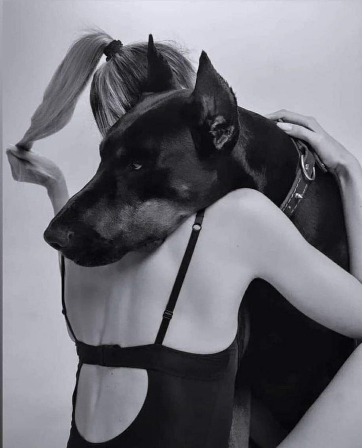 pawligan77's tweet photo. Dog Hugs fixes everything ❤️🐶
Come join us, Link in my bio…
#Dogs #USA https://t.co/nktHZaJRiZ
