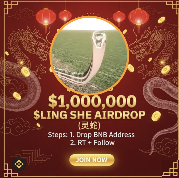 LingSheBNB's tweet photo. 领取您的 150K $LINGSHE (灵蛇) 空投 🪂
 
留下您的 $BNB 地址并转发 ♻️
 
仅限前 777 个钱包 👇

当“牛来”遭遇“灵蛇”，史诗传奇降临！ https://t.co/Dz6mkTeDLG