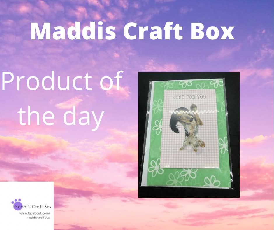 Maddiscraftbox's tweet photo. Product of the day- Spaniel card. Find it on our Facebook page.
π
#MHHSBD #productoftheday https://t.co/FMLLM6acnY