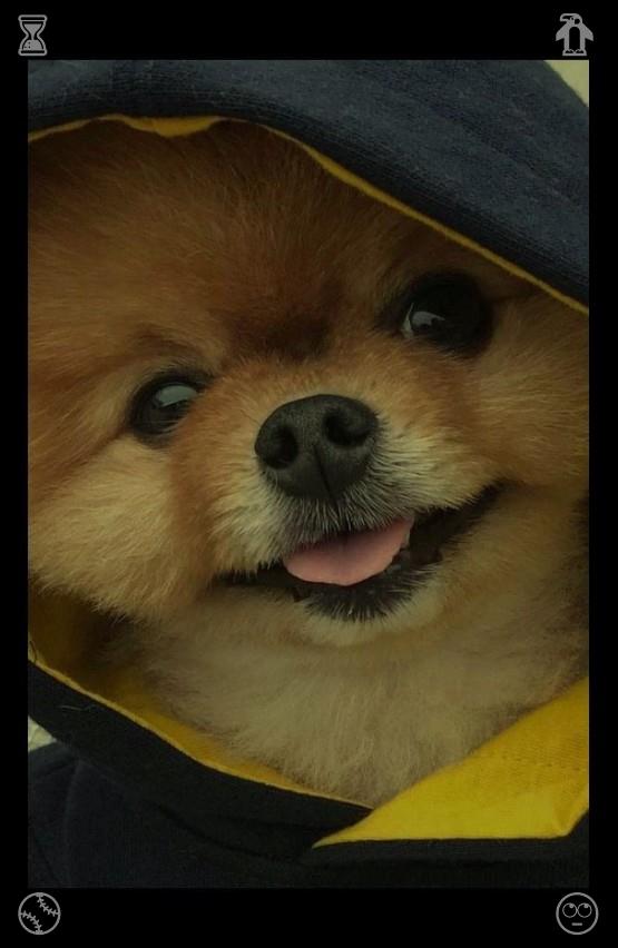 yonpotsu47210's tweet photo. 😙Toy display brings joy to children478836The canine out for a strollCharcoal pencil https://t.co/Pg99IIKssG