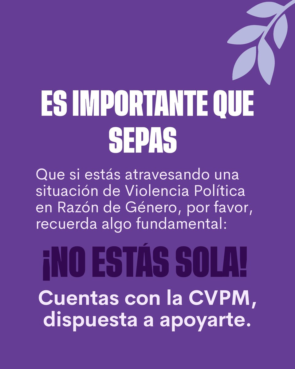mujerespantam's tweet photo. 🟣 Folleto informativo - Comisión para la Prevención, Atención y Erradicación de la Violencia Política.

#AcciónNacional #Tamaulipas #MujeresDeAccion 
1/2 https://t.co/OGK1QnwfHf