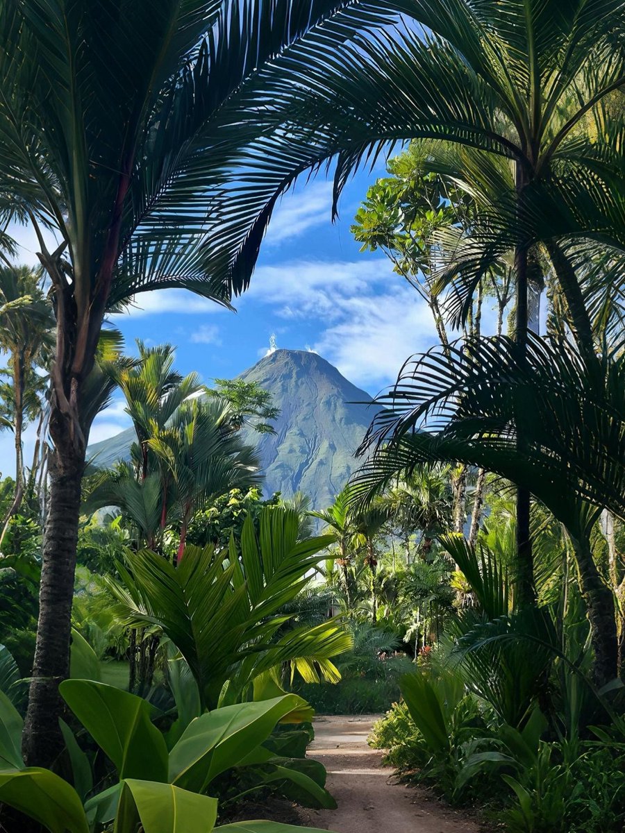 NaturalEye78321's tweet photo. Costa Rica https://t.co/J3rMnIYyVF