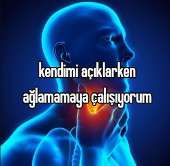 venustekimezarr's tweet photo. https://t.co/eOsYBvyGFY