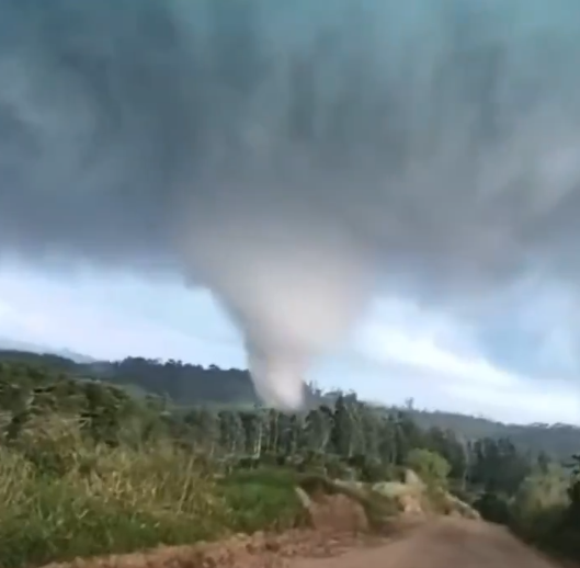 NickKrasz_Wx's tweet photo. – Atualização da Avaliação de Danos –

O tornado violento que atingiu Piraí do Sul, Paraná, Brasil, em 8 de agosto, foi classificado como um tornado F4, com ventos estimados em pelo menos 380 km/h (236 mph), segundo o PREVOTS (Brasil). O tornado percorreu uma trajetória de 26,1 km (16,2 milhas) e atingiu uma largura máxima de 750 m (820 jardas).

A classificação F4 baseou-se principalmente nos danos extremos à vegetação e ao solo ao longo de partes da trajetória. Isso incluiu a remoção completa de galhos e folhagem de árvores nativas de tronco rígido, o descascamento de mais de 60% dos troncos e um padrão característico de abrasão (efeito de lixamento) em suas superf��cies. O tornado também arrancou grandes áreas de pastagem a profundidades de 10 a 30 cm, com áreas individuais medindo aproximadamente 127 a 188 m². Determinou-se que esses indicadores de danos excepcionalmente intensos eram compatíveis com ventos de pelo menos 380 km/h (236 mph).

Este é o segundo tornado violento (F/EF4+) de 2026, excluindo-se o tornado de Kushva, na Rússia, ocorrido em 22 de junho — classificado como IF3 pelo ESWD, embora um avaliador local lhe tenha atribuído a classificação F4.