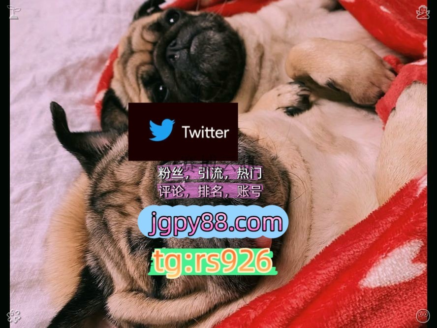 ir_y03's tweet photo. Gratitude turns days into blessings.
代发点赞号外🤜facebook推特软件
矩阵互动🌞輔助工具🌂推特账号推特矩阵管理、营销自动化、内容运营苏州
批量发帖、多账号管理、推广营销多账号管理、批量发帖、内容同步围704113霸屏🪐群发私信💐海外获客🍀
评论截流🎉股票代码🌟辅助工具🔥品牌增长👍拉萨 https://t.co/9oSjOxoVpQ