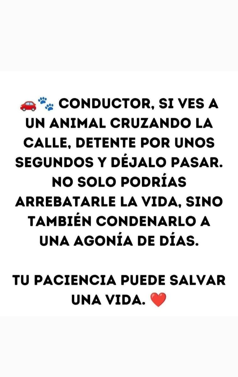 SayonaraOhme's tweet photo. @InesBetancur1 https://t.co/fR4BBeaRvo