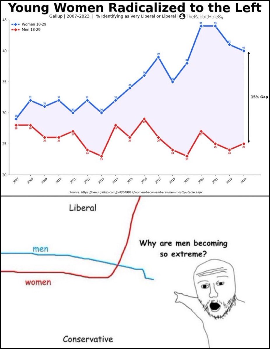 TheRabbitHole's tweet photo. Male extremism (to the degree it’s hyped up) is a fake issue.

Female radicalization is the bigger problem. https://t.co/TvtiCO62SF