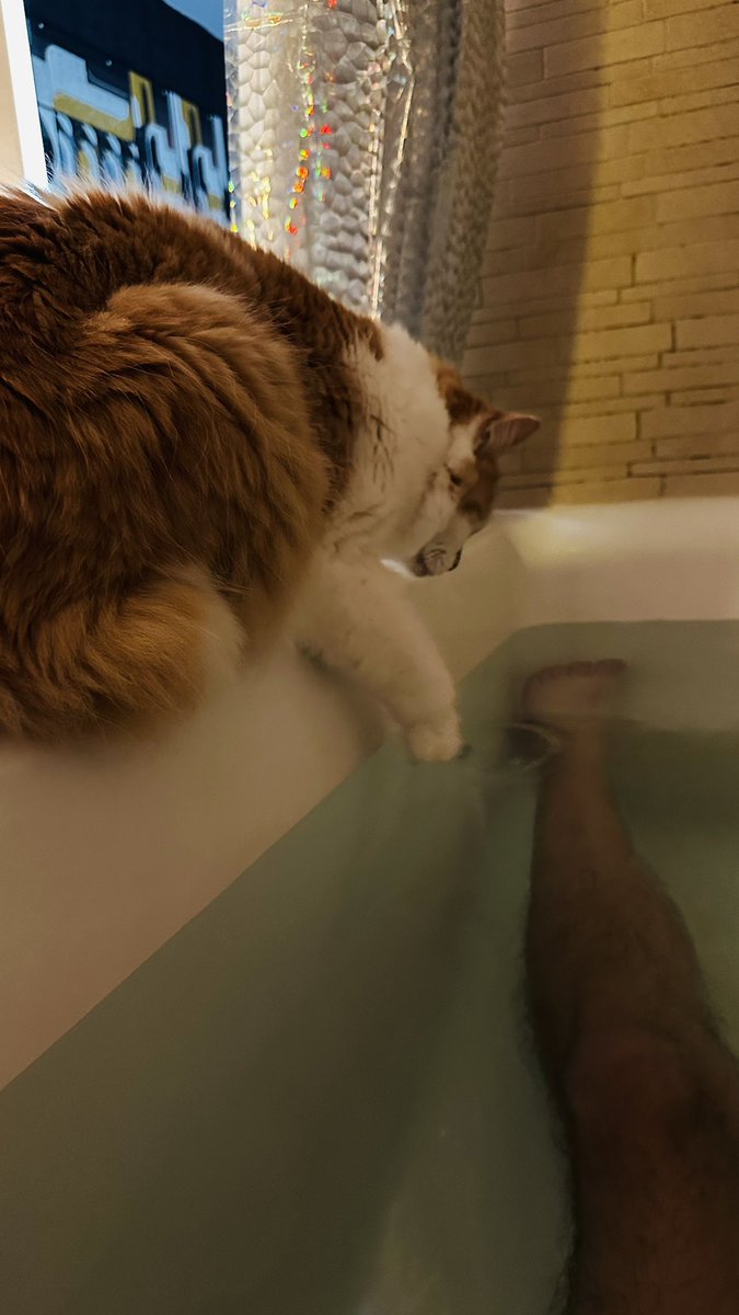 rainygay1's tweet photo. You’re never alone when you have a kitty https://t.co/H9aG69Ia2N