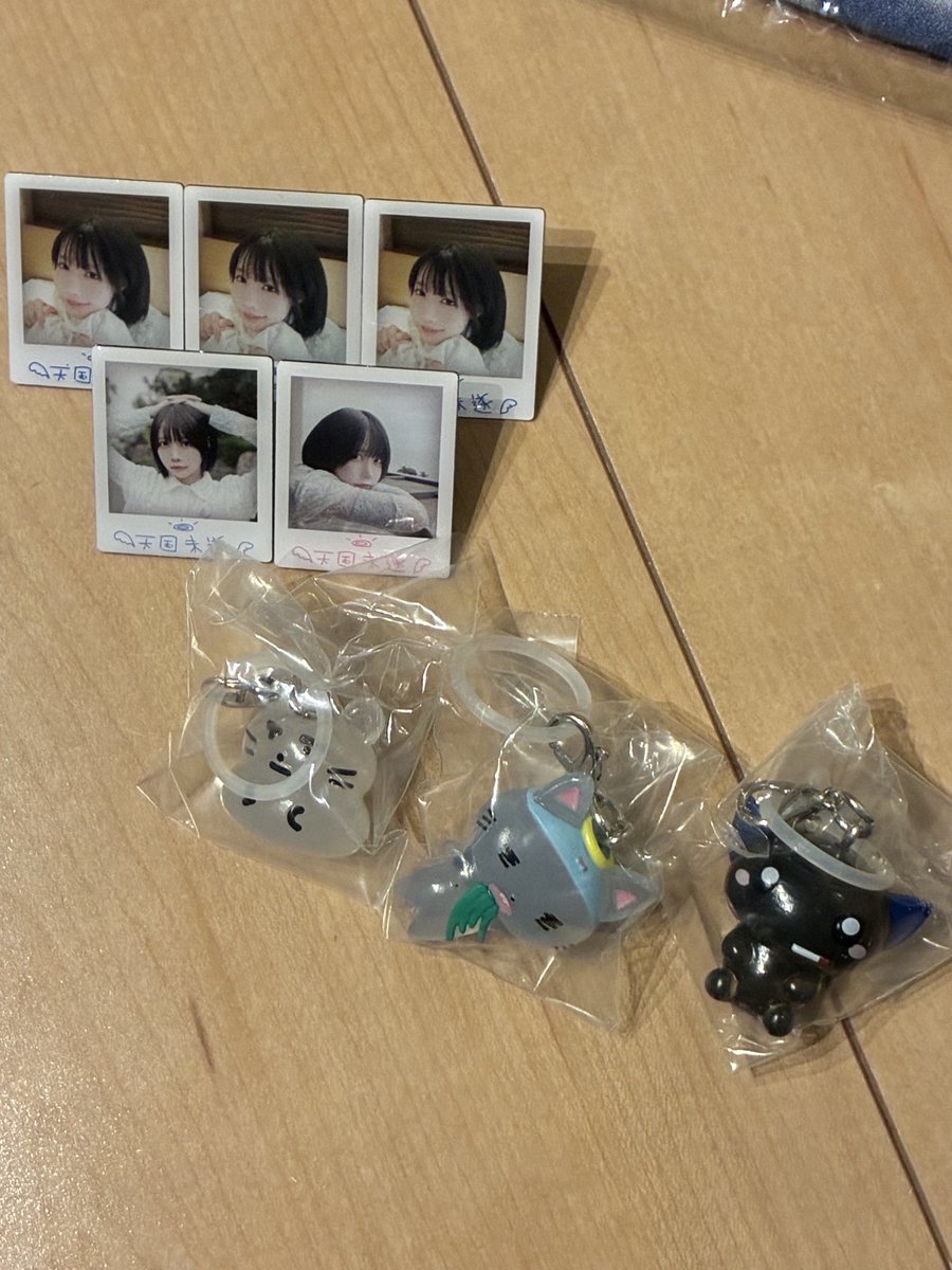 nll_yu_a's tweet photo. 今まで買えてなかった
グッズ＆現地で買えなかったグッズ
両方お迎えしました◝✩
御三家コンプでピンズは3つ子でした🌱
スマホケース裏にあのちゃんいれました
9月4日楽しみ⟡.·
#あのちゃん https://t.co/NaBnYWEcrl
