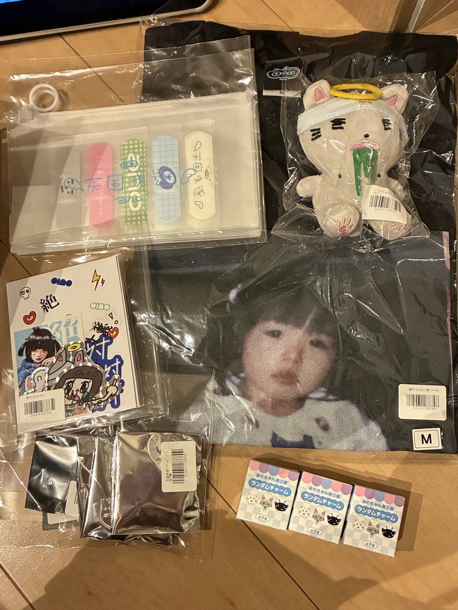 nll_yu_a's tweet photo. 今まで買えてなかった
グッズ＆現地で買えなかったグッズ
両方お迎えしました◝✩
御三家コンプでピンズは3つ子でした🌱
スマホケース裏にあのちゃんいれました
9月4日楽しみ⟡.·
#あのちゃん https://t.co/NaBnYWEcrl