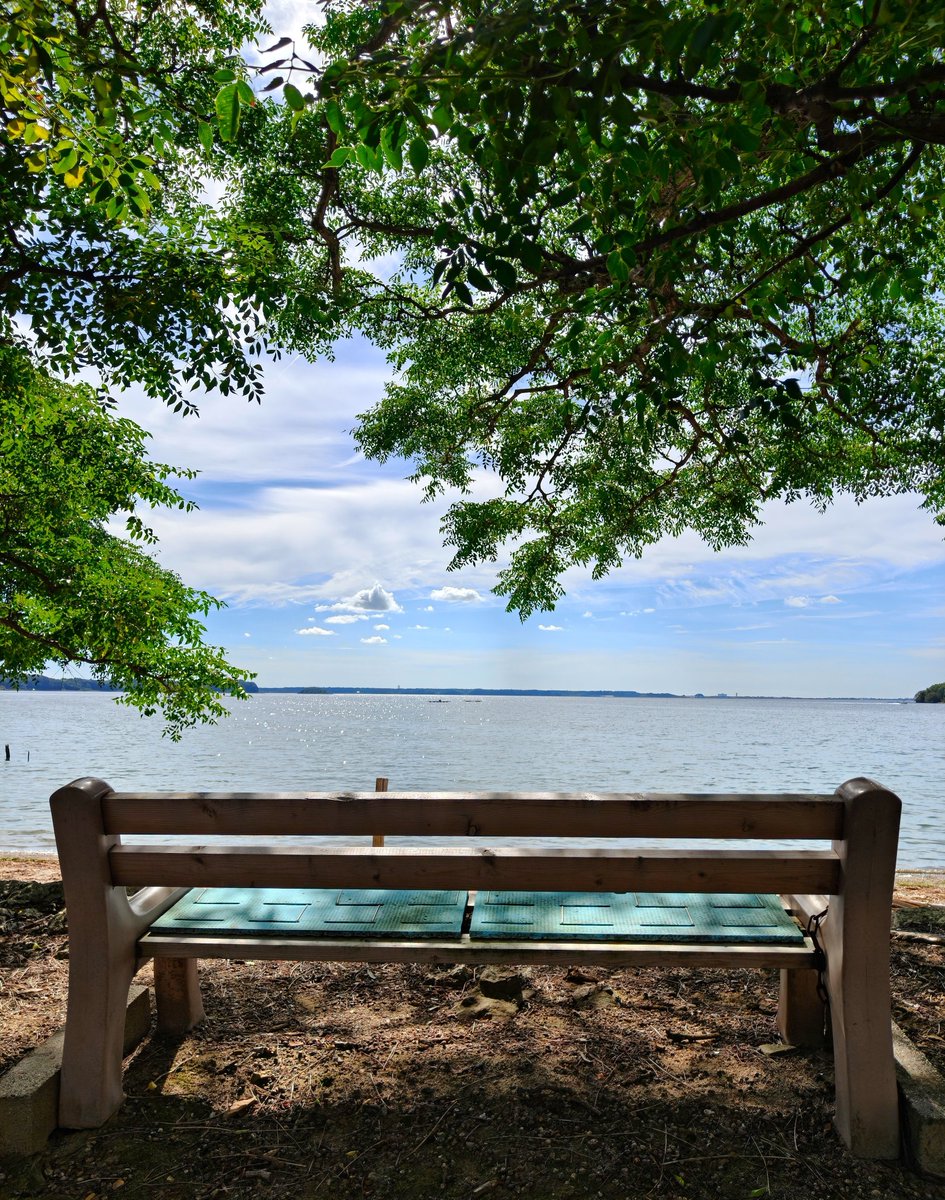 studyandstudy12's tweet photo. 帰省のスキマ時間に浜名湖でビーチコーミング🧐シーグラスならぬレイクグラスと出会えず、うーん残念😇 https://t.co/gKF443KrMp
