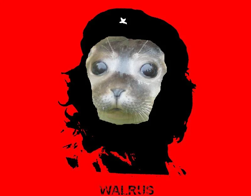 WalruseMemes's tweet photo. https://t.co/rlJES5CJOe