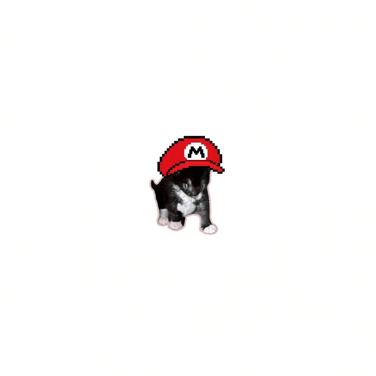 ArxCooks's tweet photo. @TheLoreGuyy it'sa me mario https://t.co/33mpOKMabG