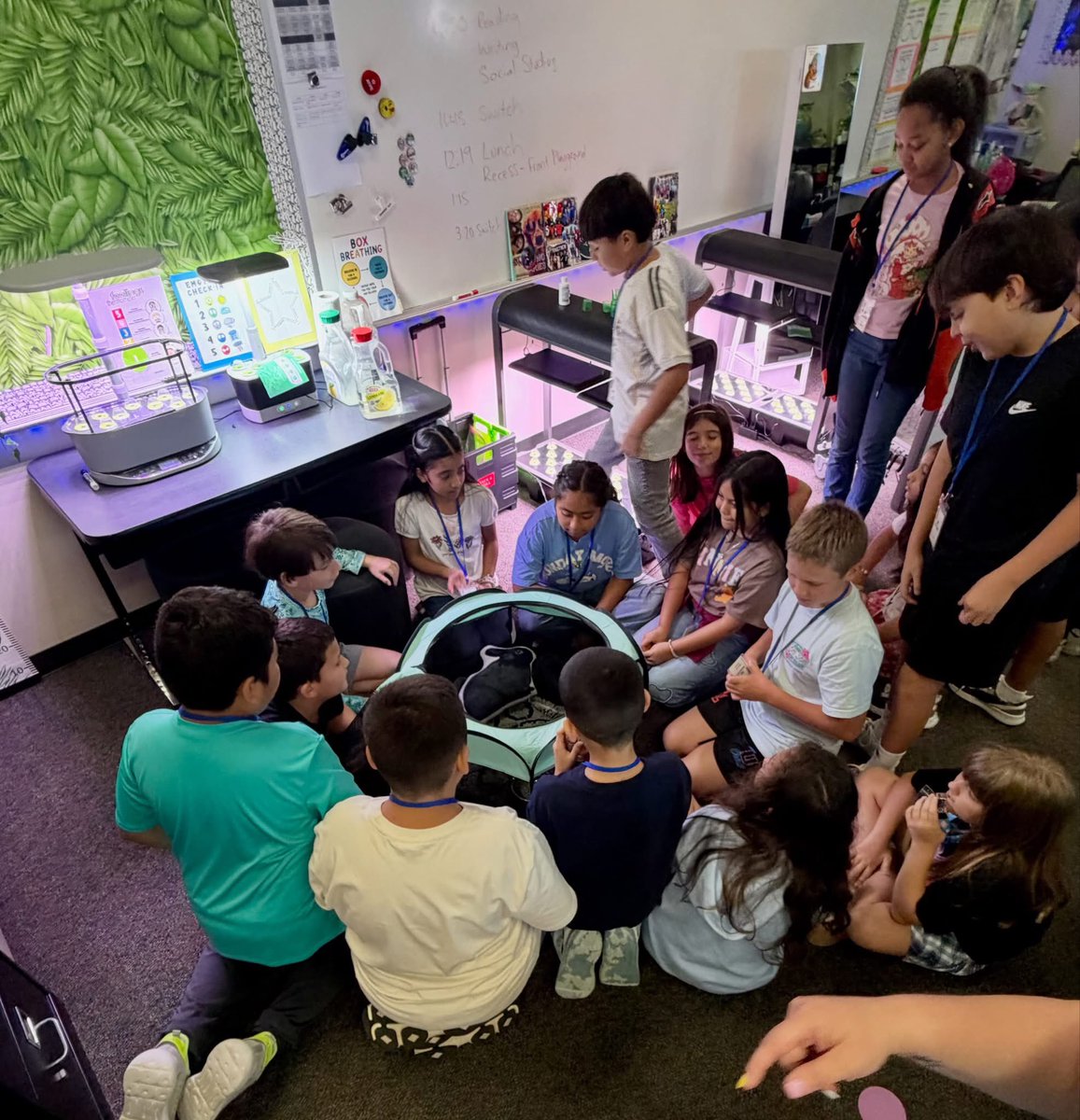 jenny_mcgown's tweet photo. Bernshausen, Blackshear &amp; Brill are such wonderful, ✨back-to-back ‘A’-rated✨ elementary schools! 🎉 Seeing their excellent teachers, support staff &amp; principals in action today makes it easy to understand why they’ve achieved &amp; sustained this level of success 👏 https://t.co/N7g6ck1VTN