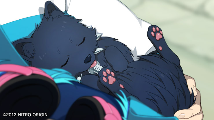 CHiRAL_staff's tweet photo. 8月26日は #世界犬の日 です🐾（キラルくん）
#CHiRAL https://t.co/7BVrLdRaRA