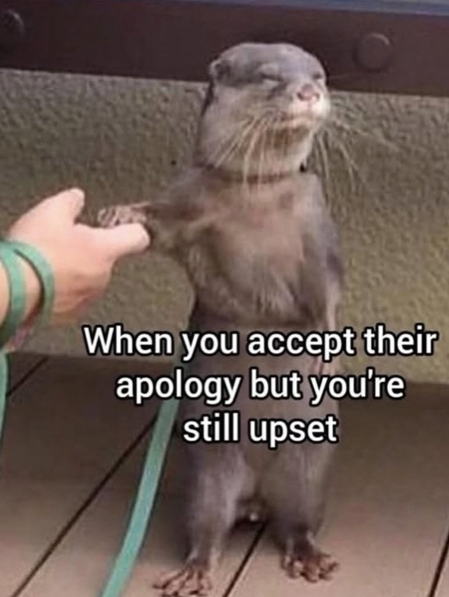 RespectfulMemes tweet picture