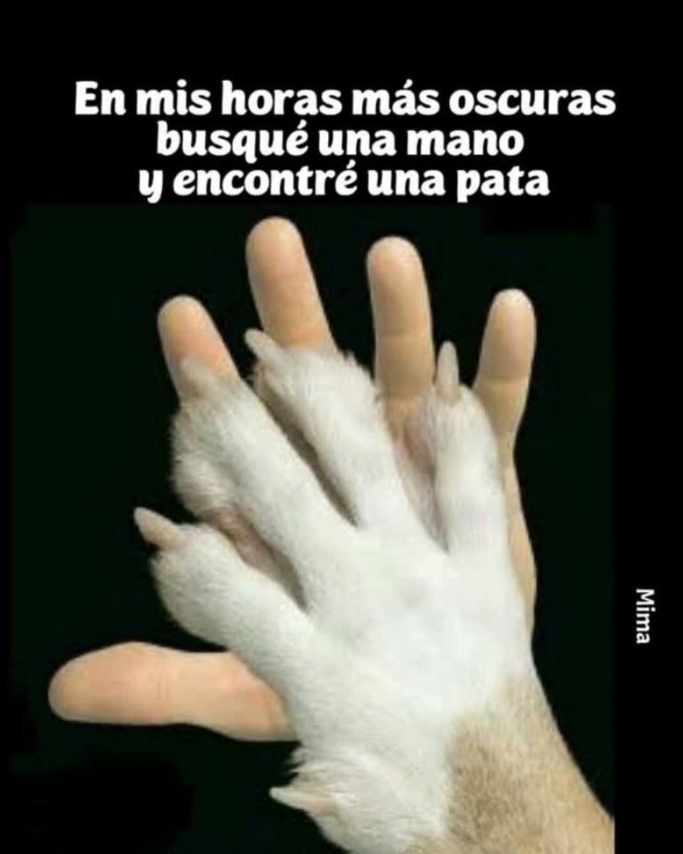 GRamirezF_D12's tweet photo. Buenas noches ✨💖 https://t.co/WD8seHotlH