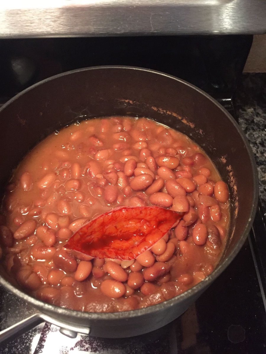 ikariccat's tweet photo. Hi all my friends who wants my  bowl of beans https://t.co/cq5tFgsIvO