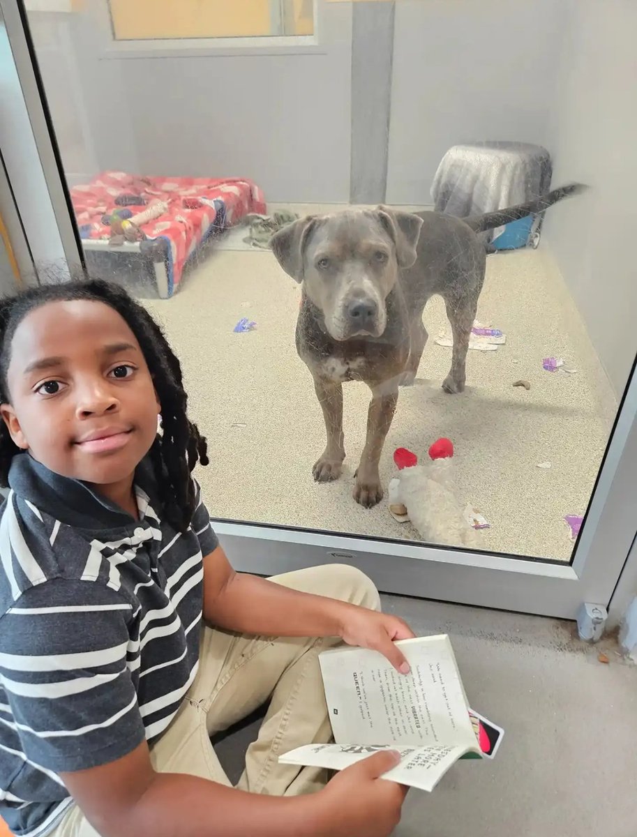 WolfofX's tweet photo. Nehemiah Turner was just 9 years old when he began spending some of his free time at the Jacksonville Humane Society in Florida.

He wasn't there to adopt a pet.

He came carrying books.

Nehemiah joined the shelter's Pawsitive Reading program in 2024, sitting near dogs and other animals waiting for homes and simply reading aloud to them. His grandmother regularly accompanied him on the visits.

The first dog he remembers reading to was Auggie. Nehemiah became so attached that he cried when it was time to leave.

But he kept coming back.

Over the next two years, those visits slowly added up. Thirty minutes here. Another reading session there. One book after another.

Among the dogs he regularly spent time with was Hopper, who had been waiting at the shelter for nearly 400 days. Nehemiah would sit with him and read.

Eventually, Hopper found a home.

Then, in June 2026, Nehemiah reached a milestone nobody his age had reached in the program before.

At 11 years old, he officially logged 100 volunteer hours reading to shelter animals, becoming the first child in the history of Jacksonville Humane Society's Pawsitive Reading program to do it.

He received a certificate and the program's special gold paw-print recognition.

Nehemiah is already thinking about what comes next.

110 hours. Then 150.

Maybe even 200.

For a boy who first walked into the shelter with a book at 9 years old, reaching 100 hours wasn't where he decided to stop.