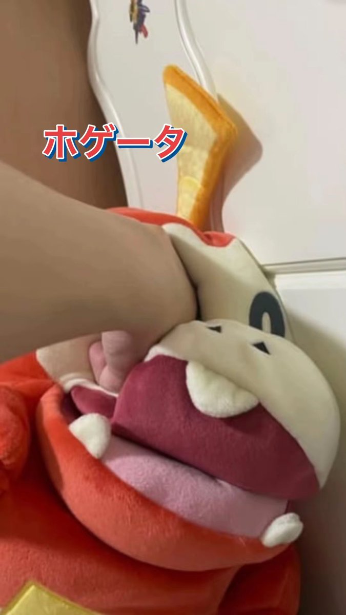 dokkanstart's tweet photo. @poke_times ホゲータかわいい！！！ https://t.co/YlfgAzVyRc