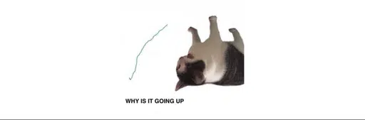 Alienfnfr's tweet photo. RUN THIS SHIT $USDC upside down cat https://t.co/CKX1qQRu2L