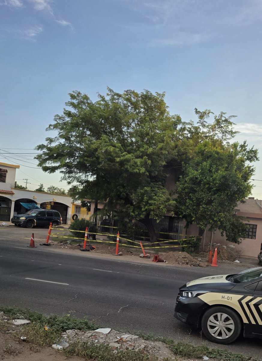 Caroarmont's tweet photo. Por toda la ciudad hay cosas asi que duran días...¿Es acaso la nueva decoración del municipio? https://t.co/M3boFBewVp