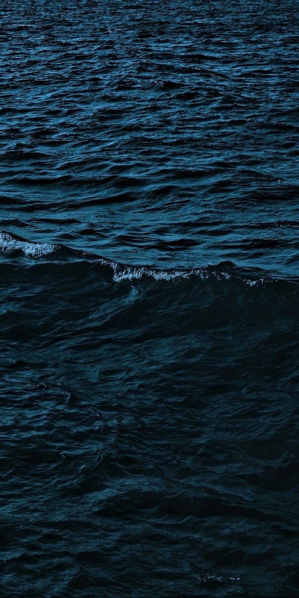 petalesblancs's tweet photo. lost in blue https://t.co/AwQuvoBRmO