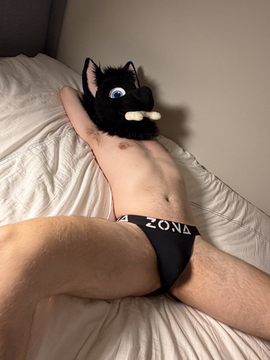 charrthefurryAD's tweet photo. Just a slutty wolf wanting to show off his new jockstrap for everyone to see :3

#fursuitnsfw #furrynsfw https://t.co/mXfihmNY8o
