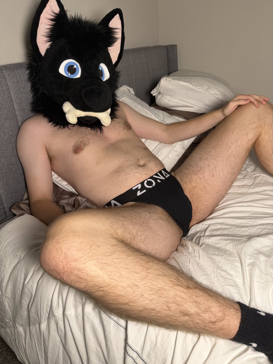 charrthefurryAD's tweet photo. Just a slutty wolf wanting to show off his new jockstrap for everyone to see :3

#fursuitnsfw #furrynsfw https://t.co/mXfihmNY8o