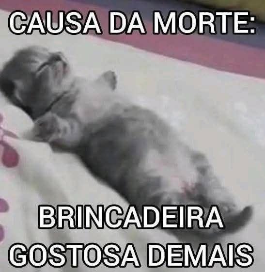 shitpostverdade's tweet photo. https://t.co/U1tWOcVQSm