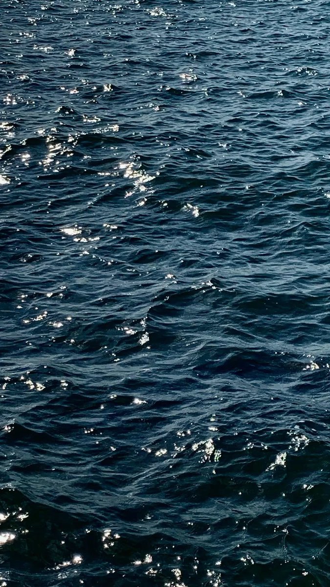 petalesblancs's tweet photo. lost in blue https://t.co/AwQuvoBRmO