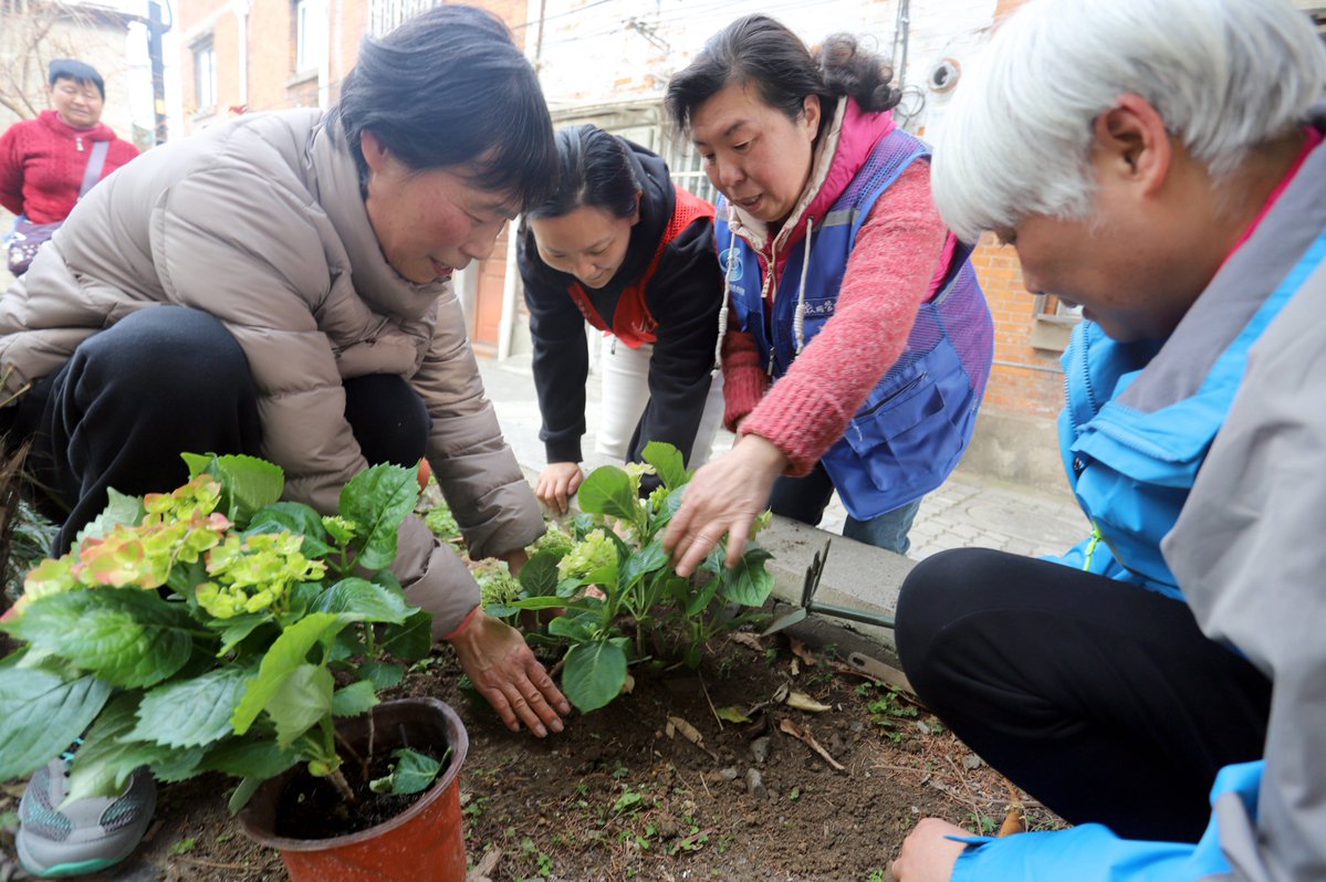 HellsInUrHead's tweet photo. Community Garden Volunteer Day this Sat 9AM! Help plant veggies, meet neighbors u0026 grow fresh produce for local food banks. All skills welcome! Sign up here: [link]， https://t.co/DK0fJSwApE