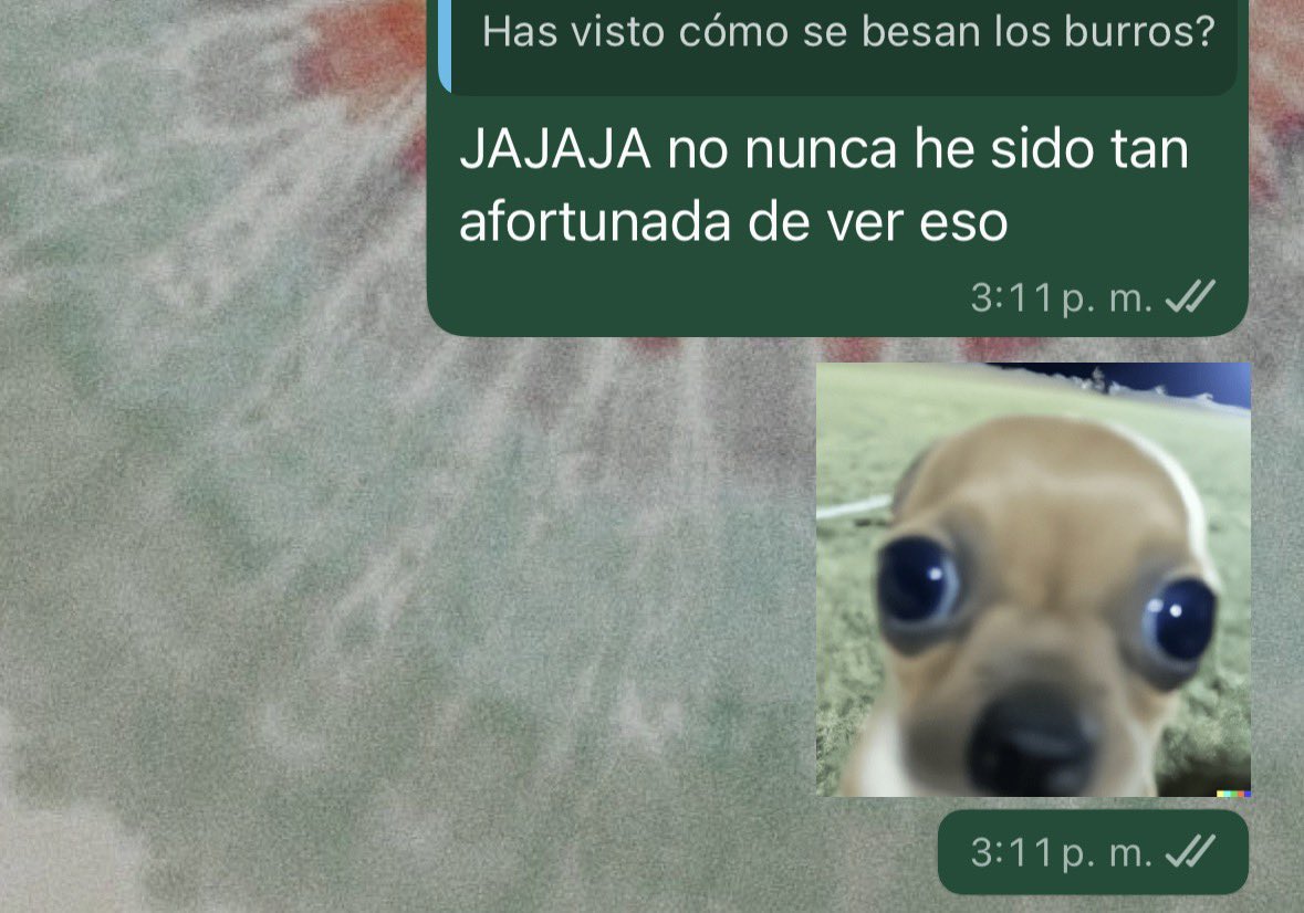 JulietaSerralde's tweet photo. Bueno… cada quien con su ejemplos 😂 https://t.co/mjwMrow41n