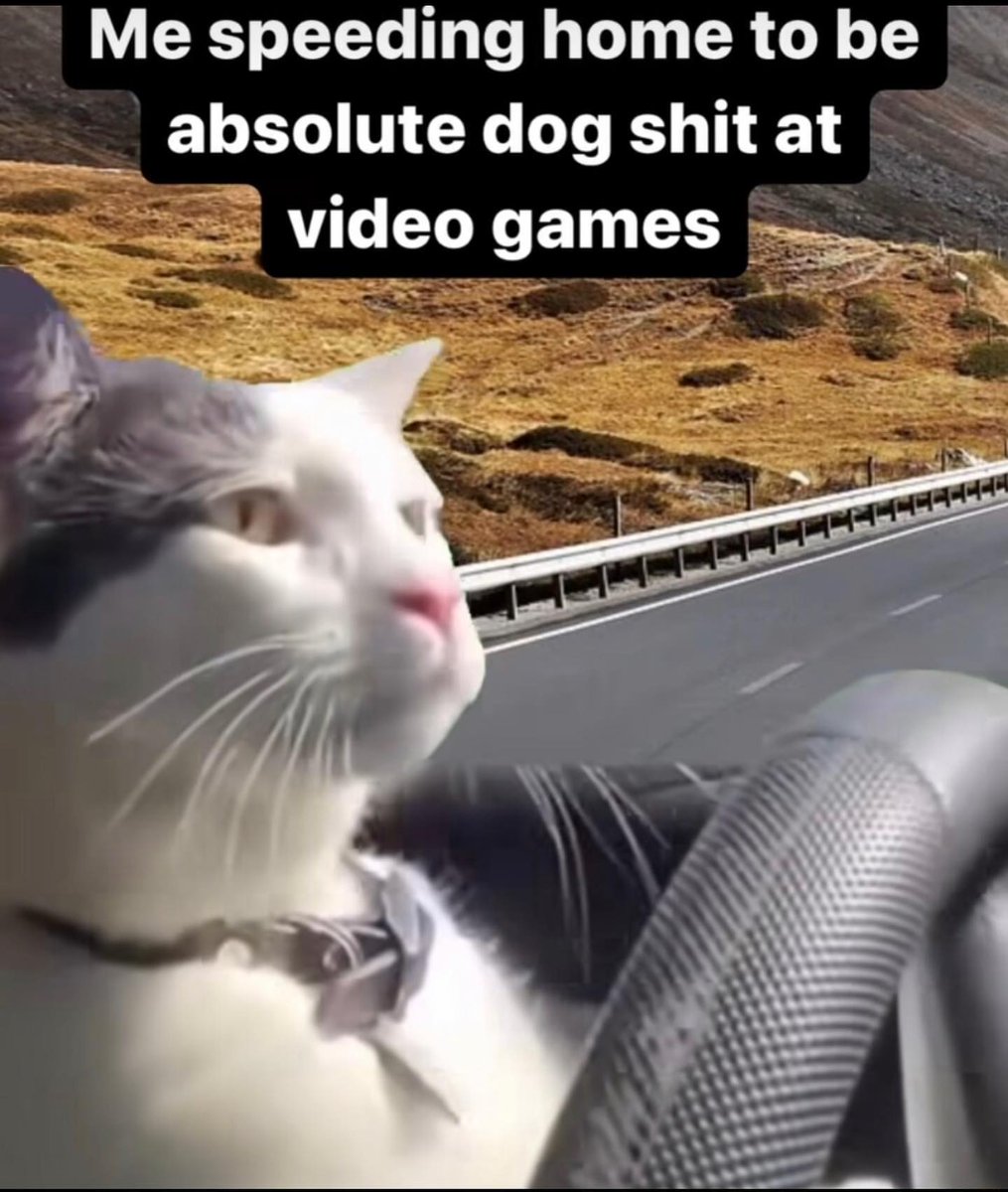 PunchingCat's tweet photo. https://t.co/7p8dL2V5qY