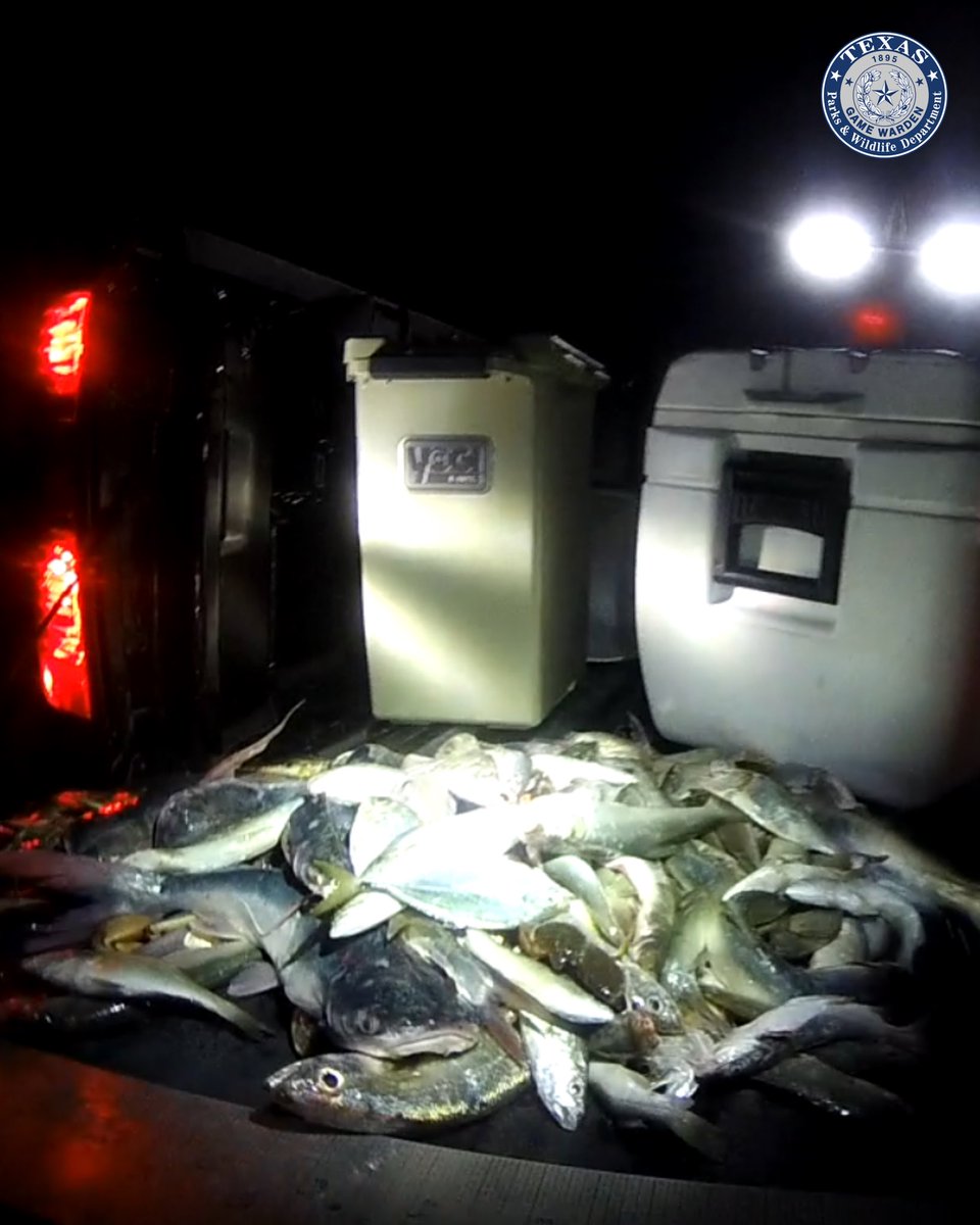 TexasGameWarden's tweet photo. Earlier this month, Texas Game Wardens in Galveston County responded to a concerned citizen’s report of suspicious fishing activity at the Texas City Dike during the early morning hours. (1/6) https://t.co/zZ3VEH2x3H
