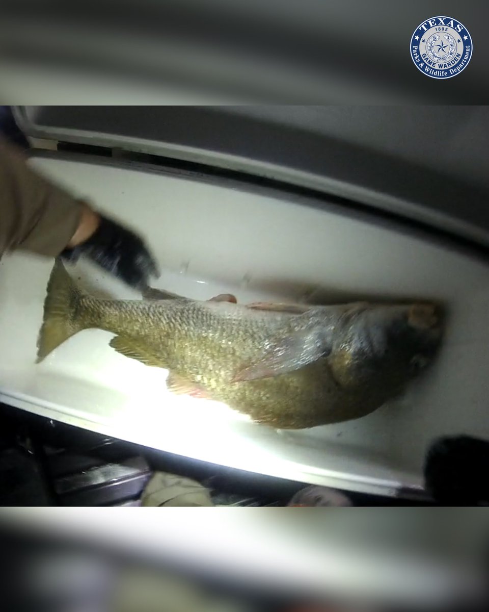 TexasGameWarden's tweet photo. Earlier this month, Texas Game Wardens in Galveston County responded to a concerned citizen’s report of suspicious fishing activity at the Texas City Dike during the early morning hours. (1/6) https://t.co/zZ3VEH2x3H