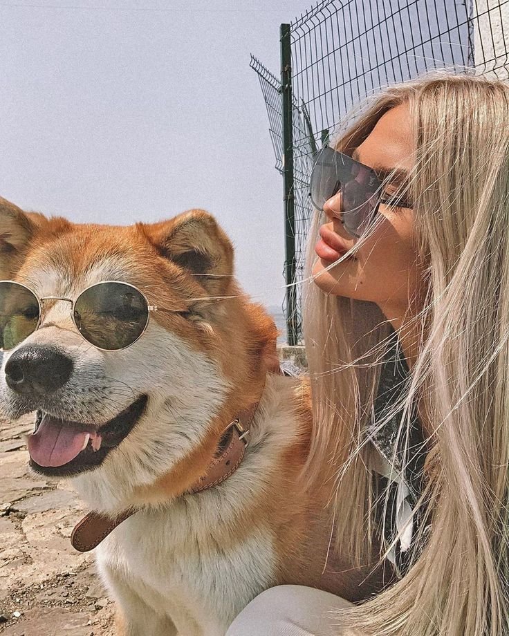 PearlPawHub's tweet photo. Every new adventure adds another beautiful memory to our bond 🐕❤️ Subscribe and don't miss a moment

https://t.co/hNO7J5UCNr https://t.co/hcaJznK8zr