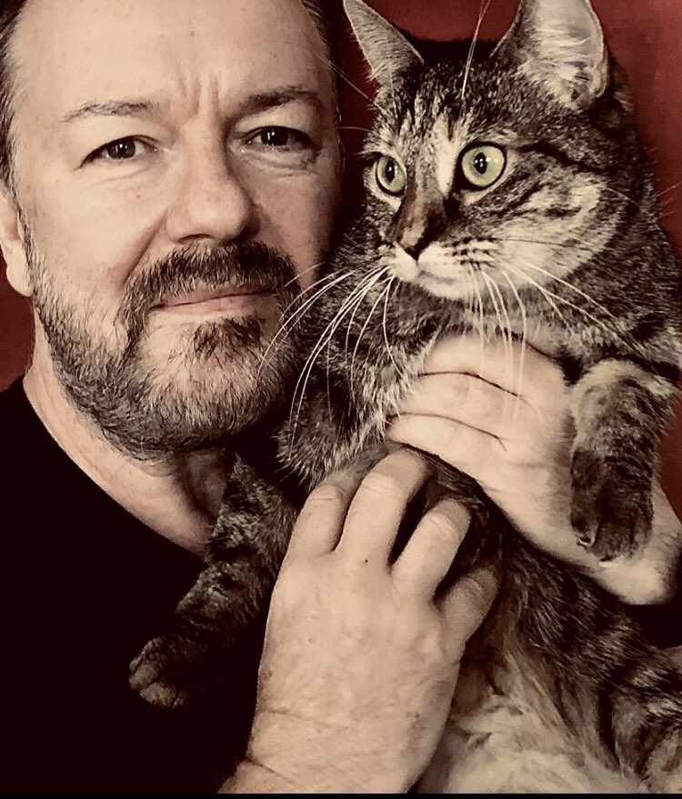 rickygervais's tweet photo. My favourite thing at the moment is all your photos and videos from all over the world, of your pets watching #AlleyCats 😂 Keep 'em coming ❤️ I'm going to bed now as I'm in London, but I'll reply in the morning. https://t.co/3RUczxV9Rh