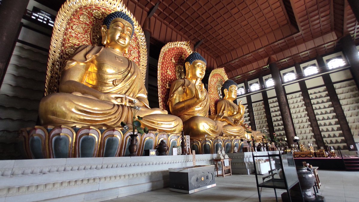 BeyondtheNwsir's tweet photo. Beyond Nara’s Great Buddha, Japan holds a different story of giant statues.

Built in the 20th century by rich tycoons, these huge monuments once symbolized grand ambition. Now forgotten, they quietly fade into nature—a haunting reminder of impermanence. 🏛️🍃 https://t.co/uXropDxMmX