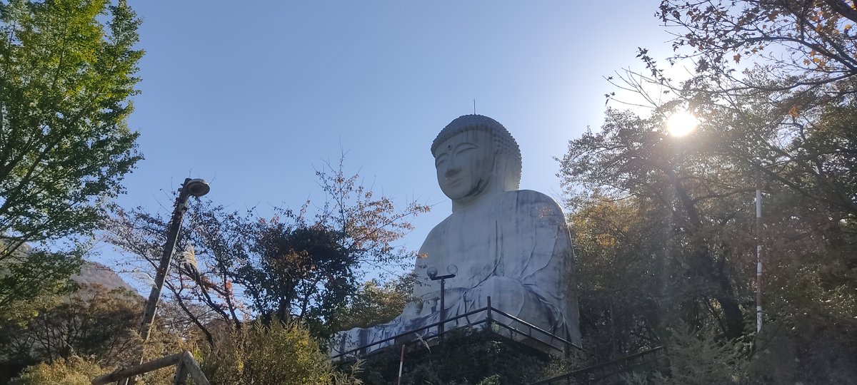 BeyondtheNwsir's tweet photo. Beyond Nara’s Great Buddha, Japan holds a different story of giant statues.

Built in the 20th century by rich tycoons, these huge monuments once symbolized grand ambition. Now forgotten, they quietly fade into nature—a haunting reminder of impermanence. 🏛️🍃 https://t.co/uXropDxMmX