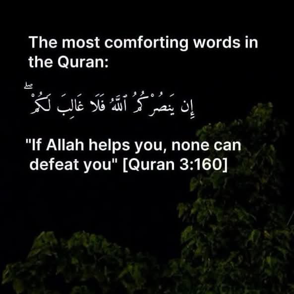 islamicfreedom's tweet photo. Amin 🤲🏼 https://t.co/S6zc2B0zdn